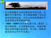 第7课《列夫 托尔斯泰》PPT课件10-八年级语文上册统编版