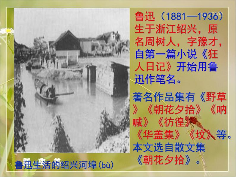 5、藤野先生课件第5页