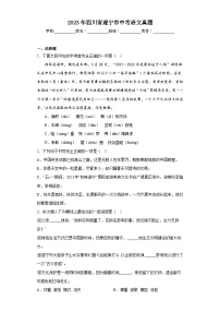 2023年四川省遂宁市中考语文真题（含答案）