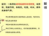 语法修辞知识课件2022-2023学年统编版语文七年级下册