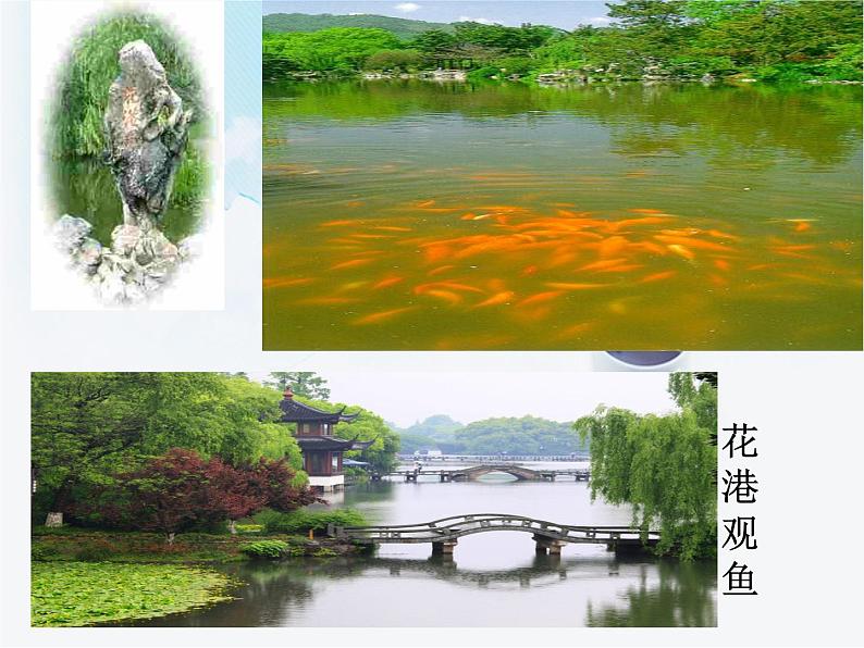 第12课《唐诗五首-钱塘湖春行》PPT课件3-八年级语文上册统编版08