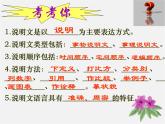 第17课《中国石拱桥》PPT课件9-八年级语文上册统编版