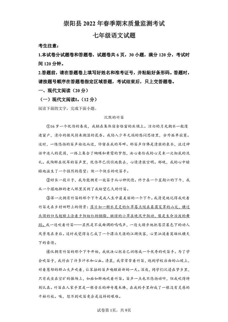 湖北省咸宁市崇阳县2021-2022学年七年级下学期期末语文试题第1页