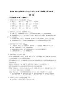 陕西省渭南市澄城县2021-2022学年七年级下学期期末考试语文试题