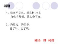 人教部编版八年级上册蝉背景图课件ppt