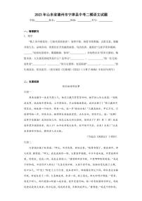 2023年山东省德州市宁津县中考二模语文试题(含答案)