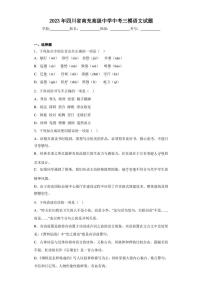 2023年四川省南充高级中学中考三模语文试题(含答案)