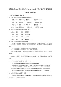 黑龙江省齐齐哈尔市讷河市2021-2022学年七年级下学期期末语文试卷（含答案）