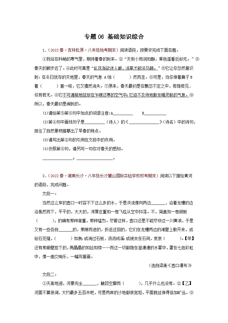 专题06：基础知识综合-2022-2023学年八年级语文下学期期末考点大串讲（部编版）01