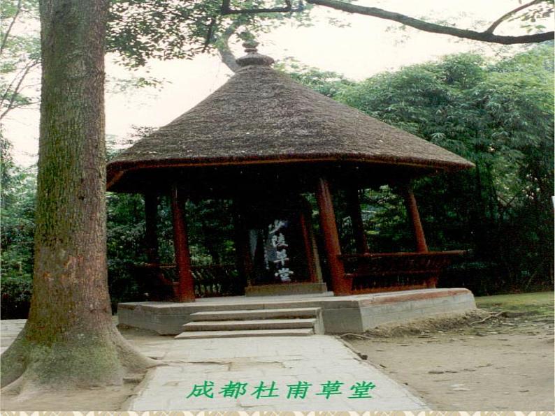 第24课《诗词五首-春望》PPT课件4-八年级语文上册统编版第1页