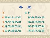 第24课《诗词五首-春望》PPT课件4-八年级语文上册统编版