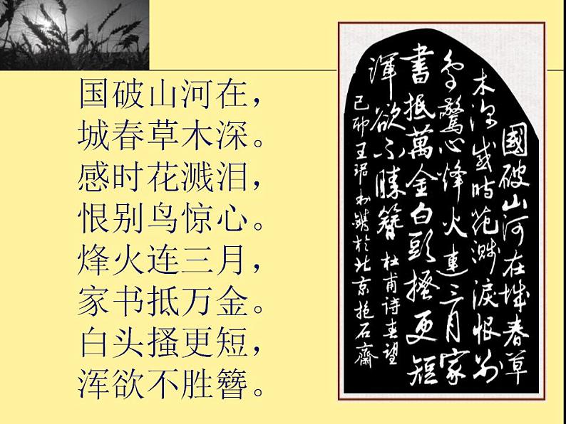 第24课《诗词五首-春望》PPT课件10-八年级语文上册统编版第4页