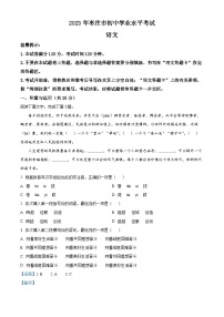 2023年山东省枣庄市中考语文真题（解析版）