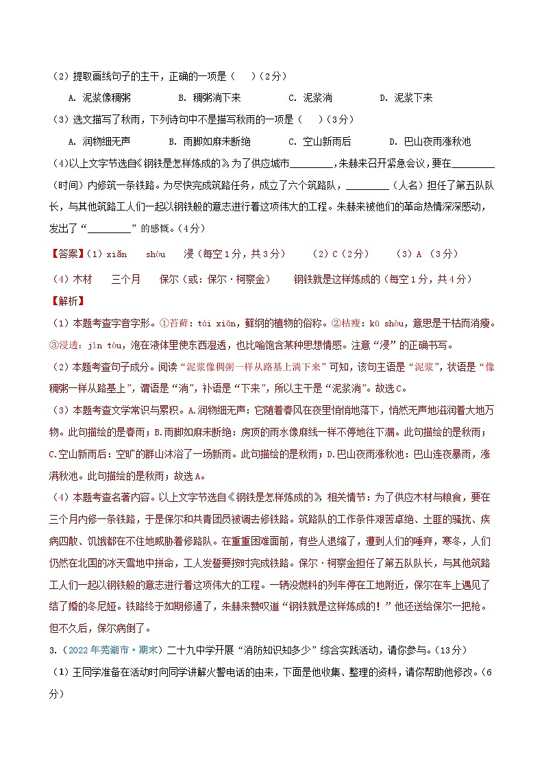 语文（安徽卷）-（全解全析）第2页