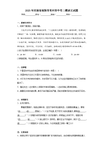 2023年河南省南阳市邓州市中考二模语文试题（含答案）