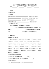 2023年陕西省咸阳市乾县中考三模语文试题（含答案）