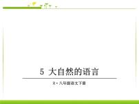 初中语文人教部编版八年级下册大自然的语言备课ppt课件