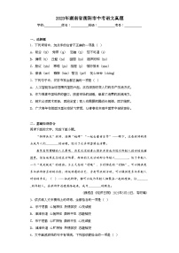 2023年湖南省衡阳市中考语文真题（无答案）