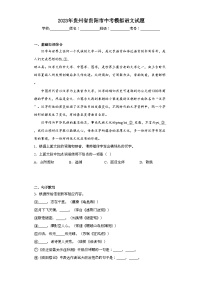 2023年贵州省贵阳市中考模拟语文试题（含解析）