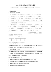 2023年甘肃省武威市中考语文真题（含解析）