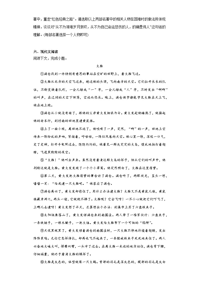 2023年河南省实验中学中考最后一模语文试题（含解析）03