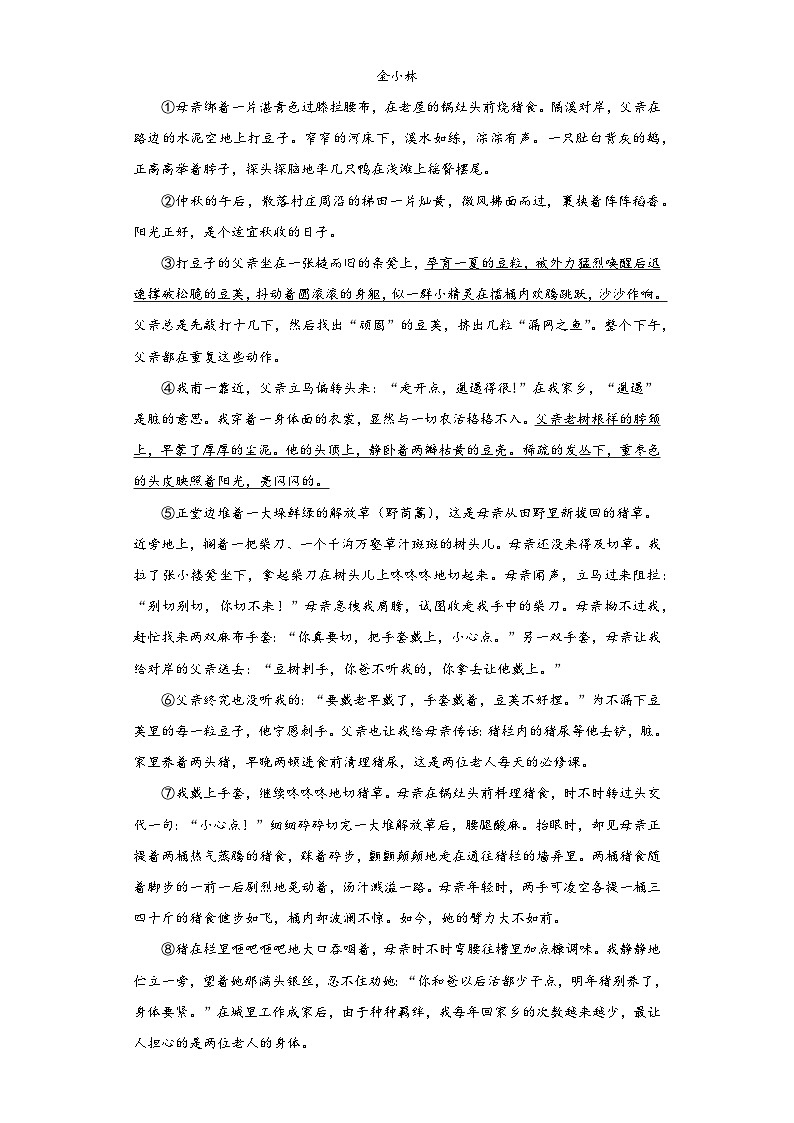 2023年安徽省合肥市庐阳中学名校联盟中考模拟（三）语文试题（含解析）03