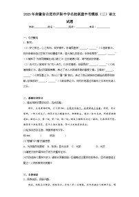 2023年安徽省合肥市庐阳中学名校联盟中考模拟（三）语文试题（含解析）
