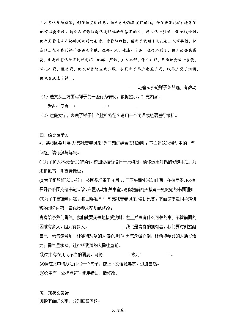 2023年安徽省合肥市庐阳中学名校联盟中考模拟（三）语文试题（含解析）02
