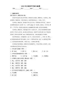 2023年云南省中考语文真题（无答案）