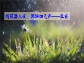 部编版语文九年级上册教学课件 6 我看
