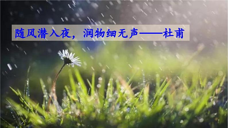 部编版语文九年级上册教学课件 6 我看第1页