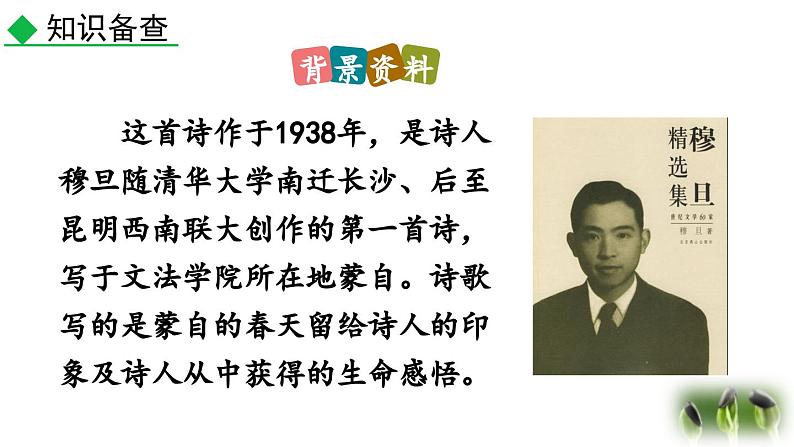 部编版语文九年级上册教学课件 6 我看第8页
