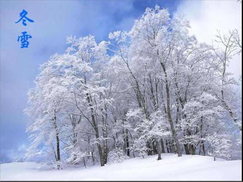 第5课《大自然的语言》PPT课件1-八年级语文下册统编版第5页