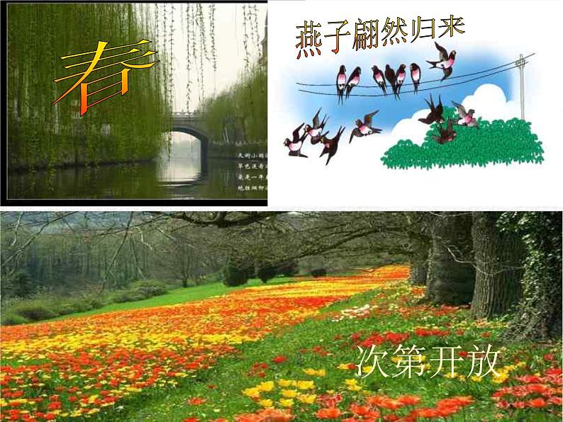 第5课《大自然的语言》PPT课件2-八年级语文下册统编版第7页