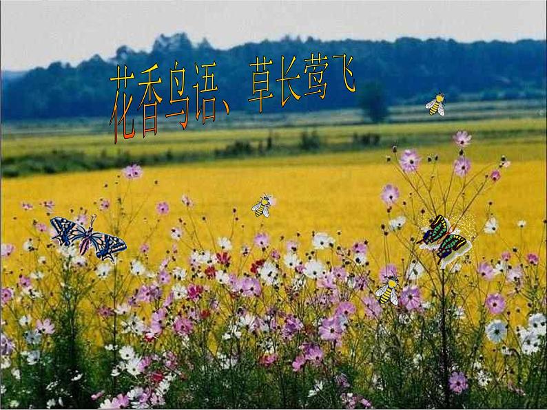 第5课《大自然的语言》PPT课件2-八年级语文下册统编版第8页