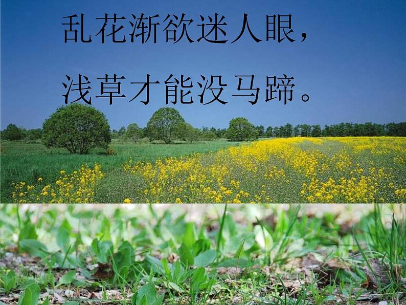 第5课《大自然的语言》PPT课件5-八年级语文下册统编版第2页