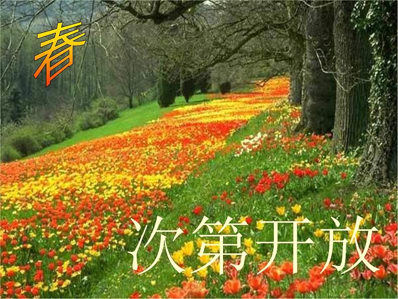 第5课《大自然的语言》PPT课件5-八年级语文下册统编版第3页