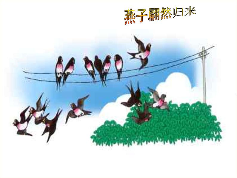 第5课《大自然的语言》PPT课件5-八年级语文下册统编版第5页