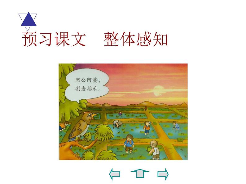 第5课《大自然的语言》PPT课件7-八年级语文下册统编版第5页