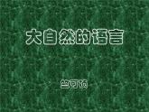 第5课《大自然的语言》PPT课件9-八年级语文下册统编版
