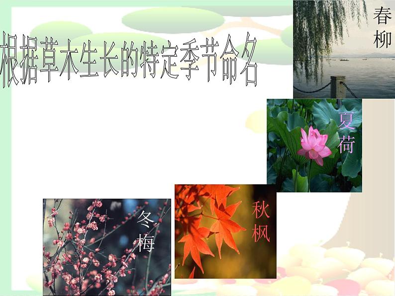 第5课《大自然的语言》PPT课件9-八年级语文下册统编版第5页