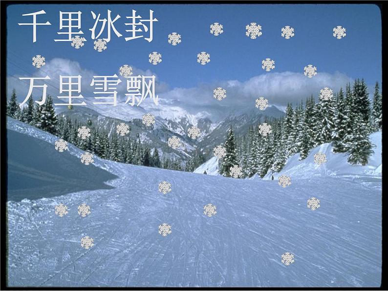 第5课《大自然的语言》PPT课件9-八年级语文下册统编版第6页