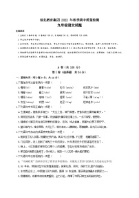 四川省成都市棕北中学教育集团2022-2023学年九年级上学期期中考试语文试卷