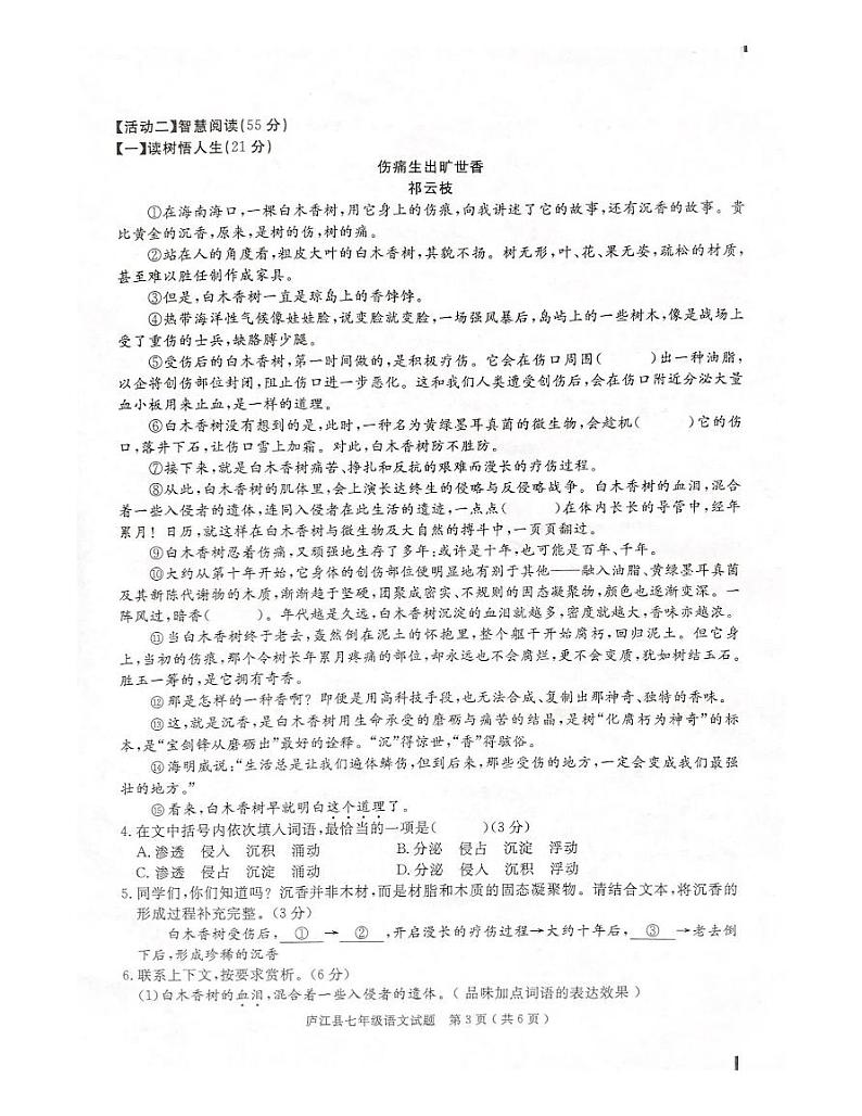 安徽省合肥市庐江县2022-2023学年七年级下学期期末检测语文试题第3页