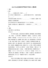 2022年山东省德州市平原县中考语文二模试卷