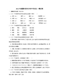2021年新疆乌鲁木齐市中考语文一模试卷