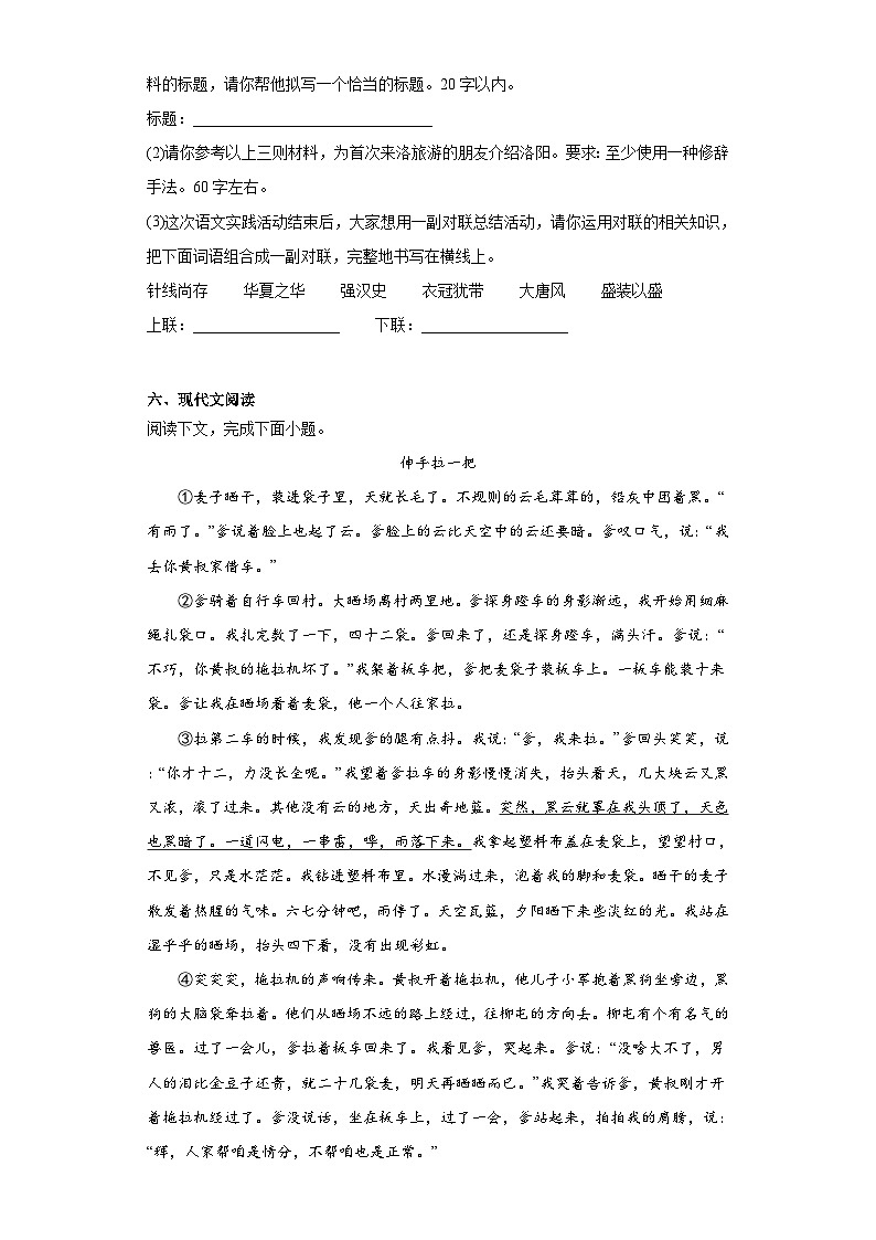 2023年河南省洛阳市中考三模语文试题（含解析）03
