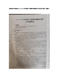 安徽省安庆市桐城市2022-2023学年八年级下学期期末质量检测语文试题