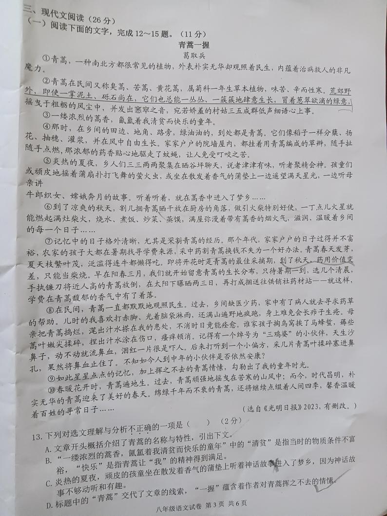 江西省宜春市丰城市孺子学校2022-2023年八年级下学期期末质量监测语文试题03