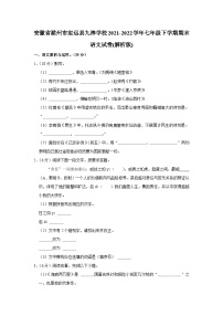 安徽省滁州市定远县九梓学校2021-2022学年七年级下学期期末语文试卷（含答案）